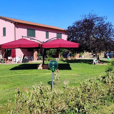 Agriturismo Calendiluna Luni Dış mekan fotoğraf